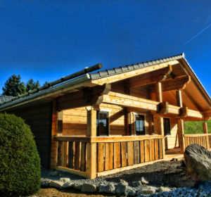 Harz Blockhaus - Chalet