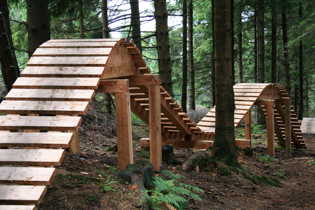 Mointenbike Strecke im Harz